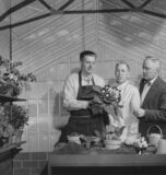 man-next-door-feb-23-1956-american-florists-assn-feature-henry-neumann-stanley-foll-bob-heiss